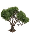 Árbol ramificado para belén de 22 cm de altura