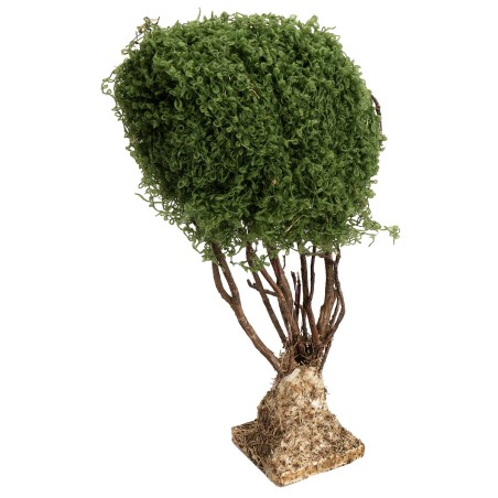 Branched tree for nativity scene h 22 cm for nativity scene Mondo Presepi