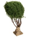 Branched tree for nativity scene h 22 cm for nativity scene Mondo Presepi