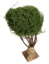 Branched tree for nativity scene h 22 cm for nativity scene Mondo Presepi