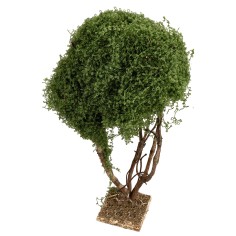 Árbol ramificado para belén h 23,5 cm para belén Mondo 2