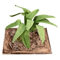 Agave modellabile h 6 cm per presepe Mondo Presepi