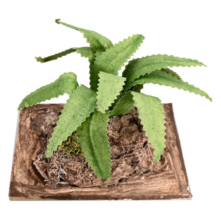 Agave modellabile h 6 cm per presepe Mondo Presepi