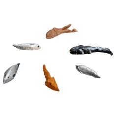 Set of 5 fish and an octopus in resin with assorted colors 2