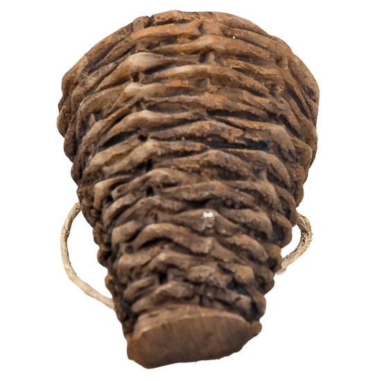 copy of Gerla in vimini cm 2,2X1,9X2,5 h minuterie presepe per