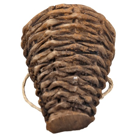 copia de Gerla en mimbre cm 2,2X1,9X2,5 h miniaturas belén para