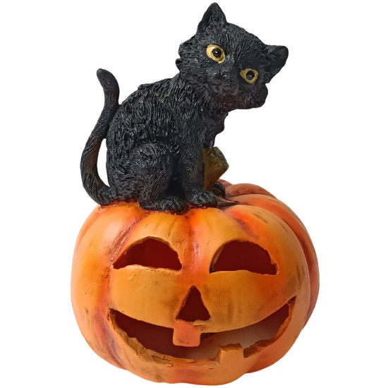 Carved pumpkin with cat and battery-operated light h 23 cm