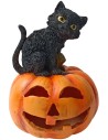 Zucca intagliata con gatto e luce a batterie funzionante h 23 cm