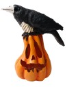 Calabaza tallada con cuervo y luz funcional h 17,5 cm