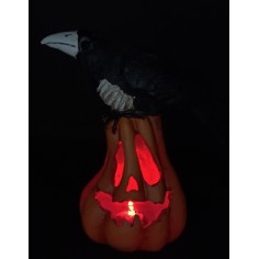 Calabaza tallada con cuervo y luz funcional h 17,5 cm 2