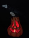 Carved pumpkin with crow and working light h 17.5 cm