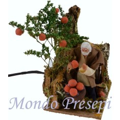Recolector de naranjas de 10 cm en movimiento Mondo Presepi