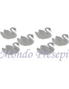 Set 6 cigni cm 2