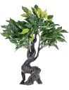 Roble para belén h 40,5 cm