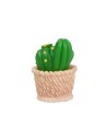 Prickly pear plant h 2.6 cm for nativity scene Mondo Presepi