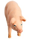 Cerdo h 5,4 cm para belén Mundo Pesebres