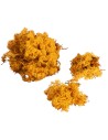Lichene giallo oro disponibile in buste da:
