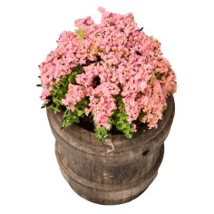 Vaso de madera con flores surtidas h 6,7 cm para belén Mundo 2