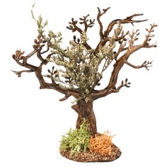 Olive tree h 13 cm for nativity scene Mondo Presepi