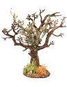Olive tree h 13 cm for nativity scene Mondo Presepi