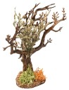 Olive tree h 13 cm for nativity scene Mondo Presepi