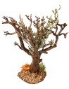 Olive tree h 13 cm for nativity scene Mondo Presepi