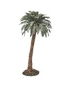 Palma individual de lujo disponible en varias alturas: