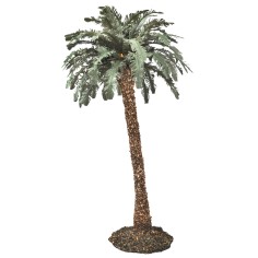 Palma individual de lujo disponible en varias alturas: 2