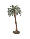 Palma individual de lujo disponible en varias alturas: