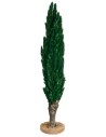 Cypress tree h 25 cm