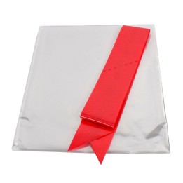 Foglio trasparente con fiocco Natalizio 100x130 cm