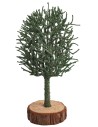 Albero verde con base in legno 18,5 cm per presepe Mondo Presepi