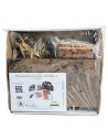 DIY Nativity Scene Kit complete with Nativity and lights cm
