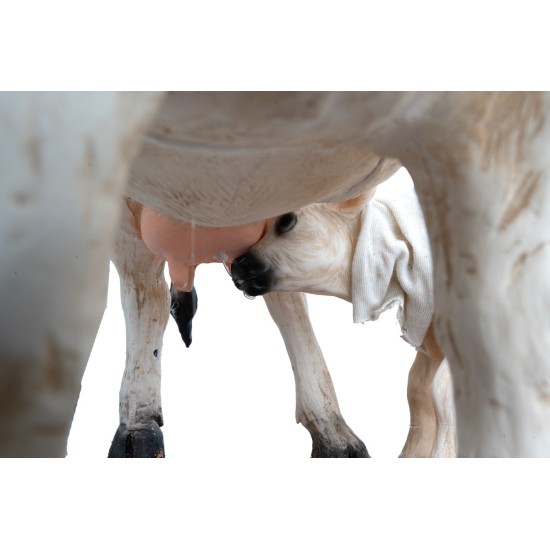 Mucca e vitello con doppio movimento per statue da 30 cm