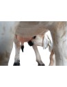 Cow and calf with double movement for 30 cm statues