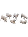 copy of Set of 6 Landi sheep for statues cm 8