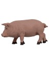 Serie de cerdo Oliver para estatuas de 10 cm