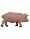 Serie de cerdo Oliver para estatuas de 10 cm