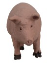 Maiale serie Oliver per statue cm 10