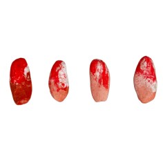 Set 4 pezzi di carne 2x1 cm