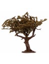 Olive tree with leaves 15 cm
