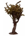 Olive tree with leaves 15 cm