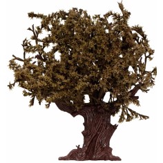 Pianta di ulivo con foglie 17 cm