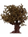 Olive tree with leaves 17 cm