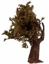 Olive tree with leaves 17 cm