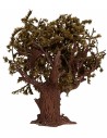 Planta de olivo con hojas 17 cm