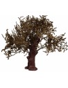 Olive plant with leaves 32 cm