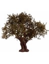 Olive plant with leaves 32 cm