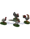 Set 4 gallinacei