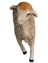 Sheep for statues 20-24 cm - low head